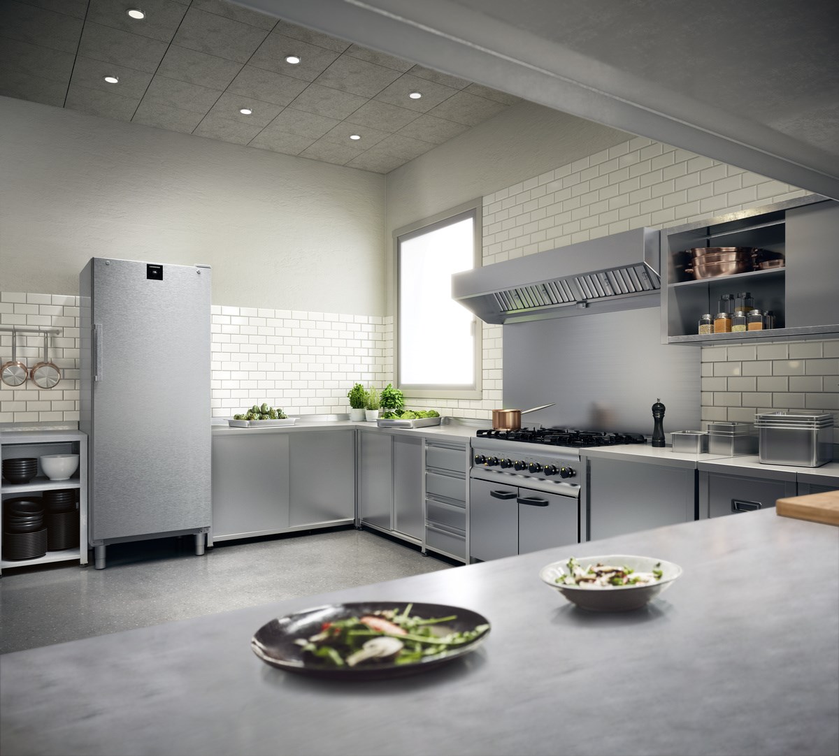 Liebherr FFFCvg 6501 Perfection Gefrierschrank mit NoFrost – Bild 5