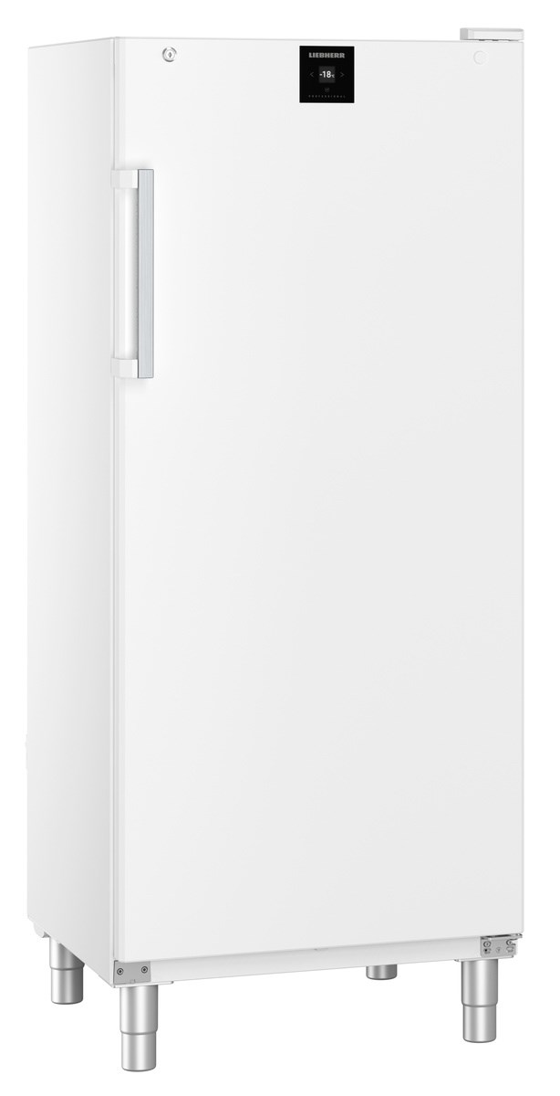 Liebherr FFFsg 5501 Performance Gefrierschrank mit SmartFrost – Bild 3