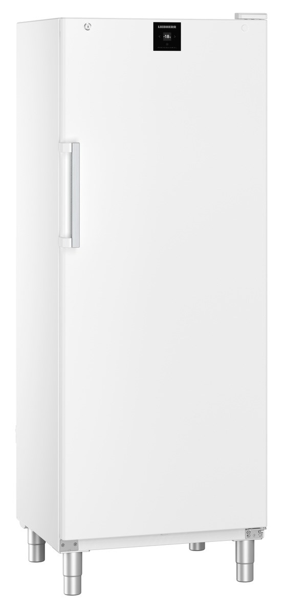 Liebherr FFFsg 6501 Performance Gefrierschrank mit SmartFrost