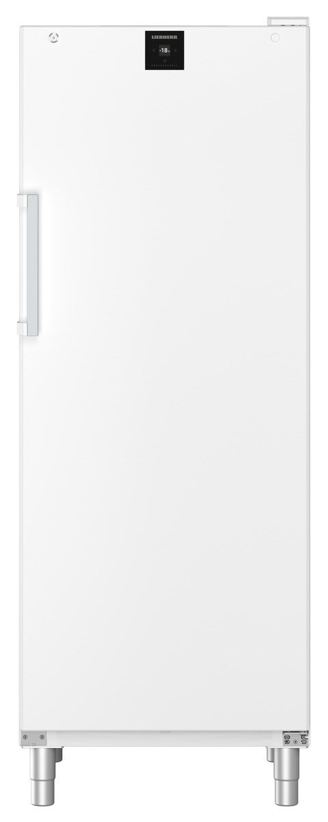 Liebherr FFFsg 6501 Performance Gefrierschrank mit SmartFrost